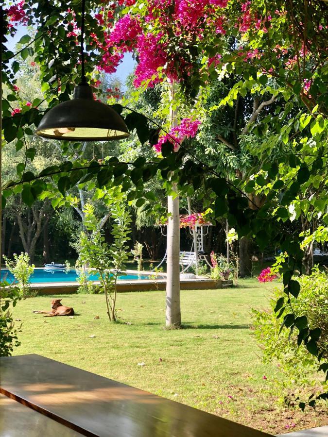 Pushkarorganic - Lux Farm Resort With Pool Exterior foto