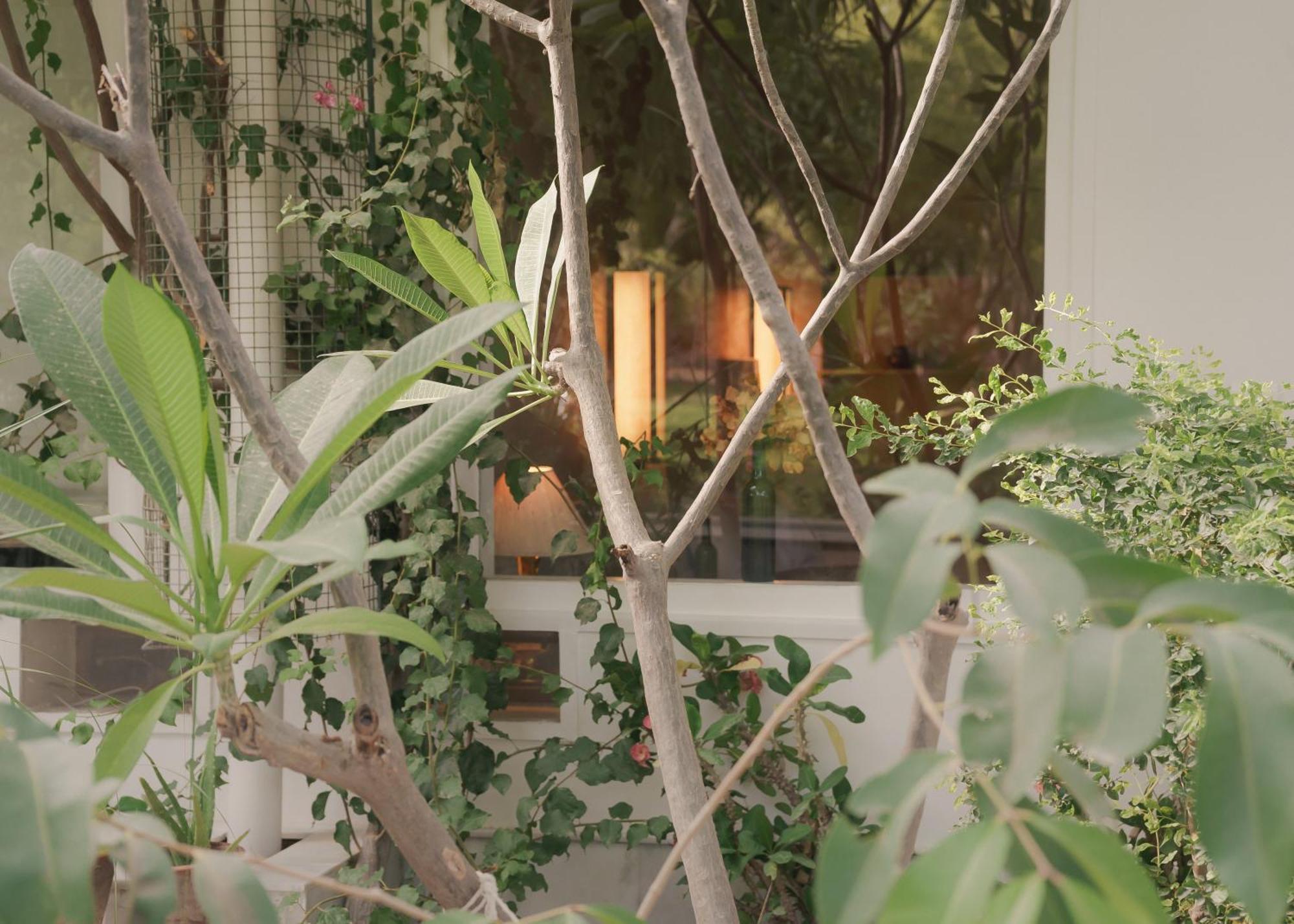 Pushkarorganic - Lux Farm Resort With Pool Exterior foto